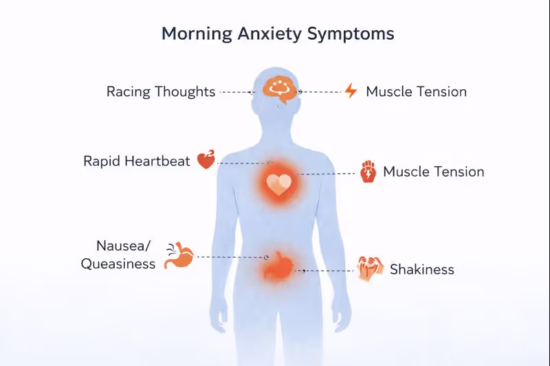 Morning hydration, caffeine, and breakfast factors affecting anxiety