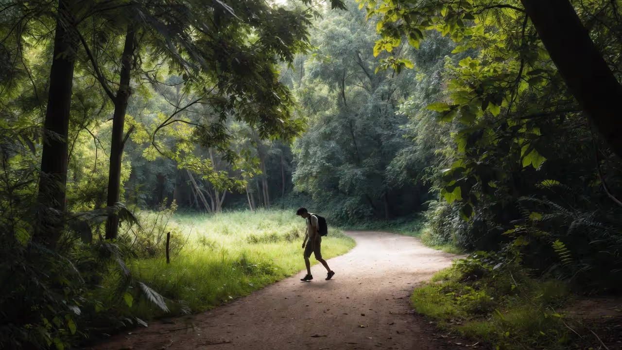 A walk in nature to reduce stress