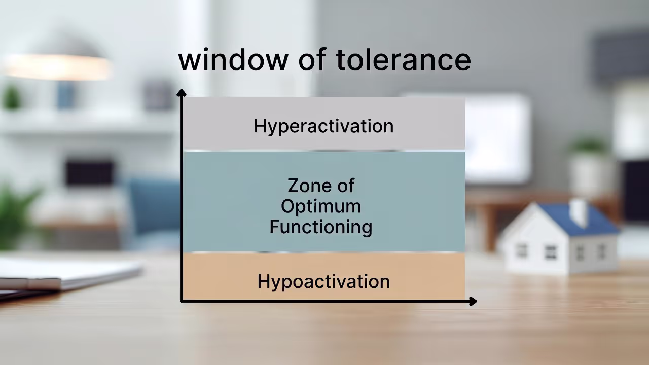 Window of tolerance and distress tolerance concept