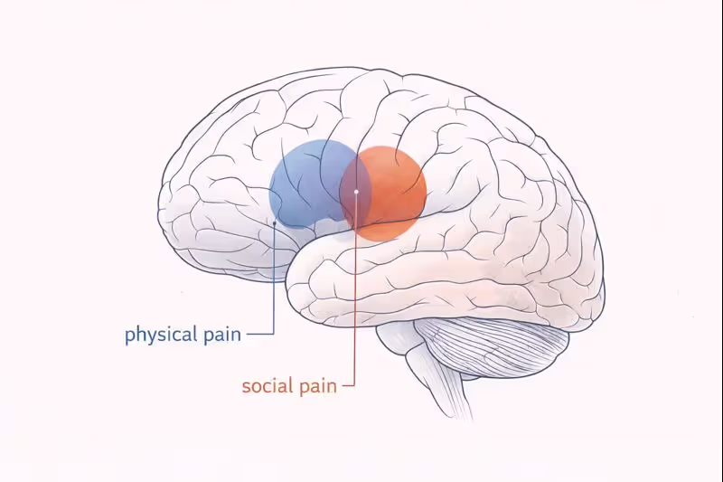 Brain scans reveal that social exclusion activates the same regions as physical injury